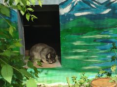 -青藏高原野生动物园