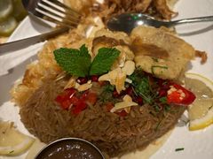 -ELI FALAFEL Lebanese&Mediterranean黎巴嫩美食(富城路店)