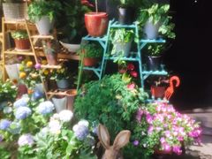 -FEI FEI FLOWER鲜花店·气球派对·宝宝宴布置(虹口德必运动Loft店)