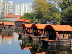 -侨美·唐荔园·40年地道粤菜