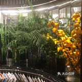盎然绿意的新加坡风情中品味浪漫西餐🍴