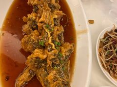 老济南糖醋鲤鱼-金春禧(世茂国际广场店)