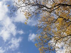 -上海吴淞炮台湾国家湿地公园