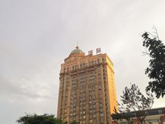 -阿九笨鸡蛋手擀面(总店)