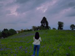 -白鹭湾湿地公园