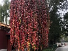 -北京市劳动人民文化宫(太庙)