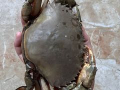 -都斛海鲜街