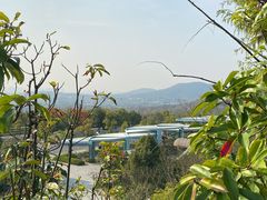 -牛首山文化旅游区