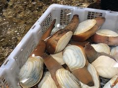 -盒马鲜生(曜一城店)