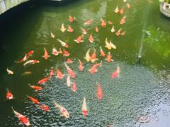 -阳春市花园酒店
