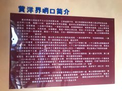 -井冈山风景名胜区-黄洋界