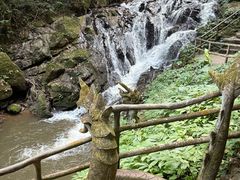 -莫里热带雨林景区