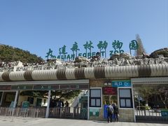 -大连森林动物园