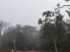 -野象谷景区