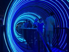 -锦江乐园舞狸花花游园会(夜场专享)