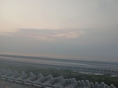 -南汇新城海滩