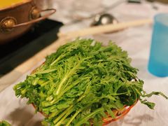 -鲜入围煮花胶鸡海鲜火锅