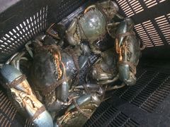 -無招牌海鮮(芽笼店)