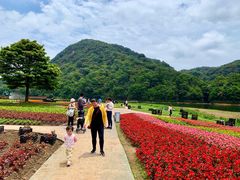 -广州市石门国家森林公园
