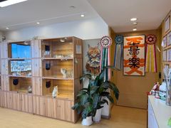 -猫十亿·布偶金渐层·曼基康矮脚猫舍(青年路店)
