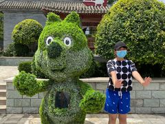 -阳台山自然风景区