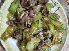 -东鸽皇(奥园·中环广场店)