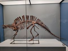 -湖南省地质博物馆