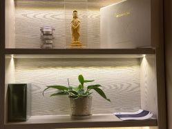 -东英经典SKIN&SPA