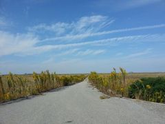 android_upload_pic-南汇嘴观海公园