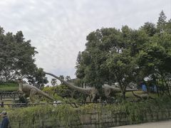 -自贡恐龙博物馆