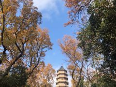 -灵谷景区