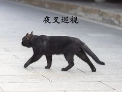 -龙华寺