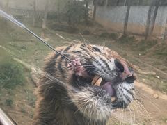 -贵州森林野生动物园
