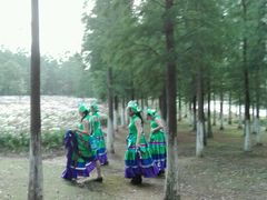 -艾溪湖湿地公园