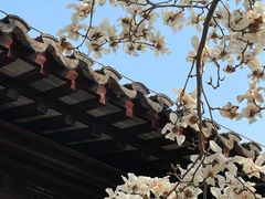 -都可手作(学士街手作店)