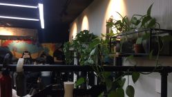 -AFA Hair studio·女士发型设计