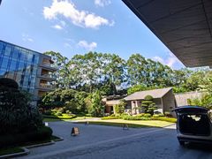 -南宁荔园维景国际酒店·荔园中餐厅
