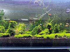 -华声天桥民俗文化园