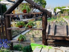 -上海国展宝龙丽筠酒店