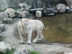 -北京野生动物园