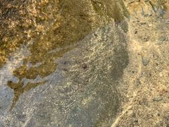 -碓臼峪自然风景区