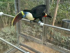 -南宫五洲植物乐园