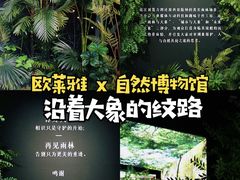 -上海自然博物馆