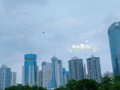 -万绿园