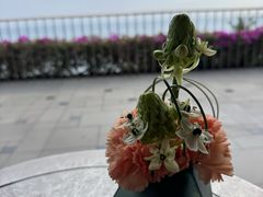 -日落吧·海景咖啡厅·餐酒吧·鸡尾酒·下午茶·乐队表演·浪漫夕阳·三亚文华东方酒店