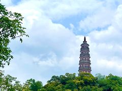 -顺峰山公园