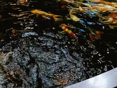 -长沙海底世界