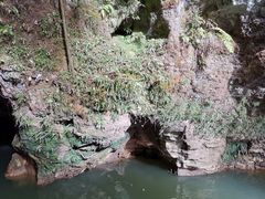 -怀托摩萤火虫洞