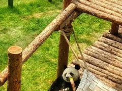 -大连森林动物园