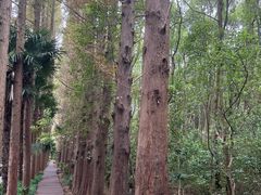 -同里国家湿地公园